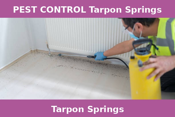 PEST CONTROL Tarpon Springs